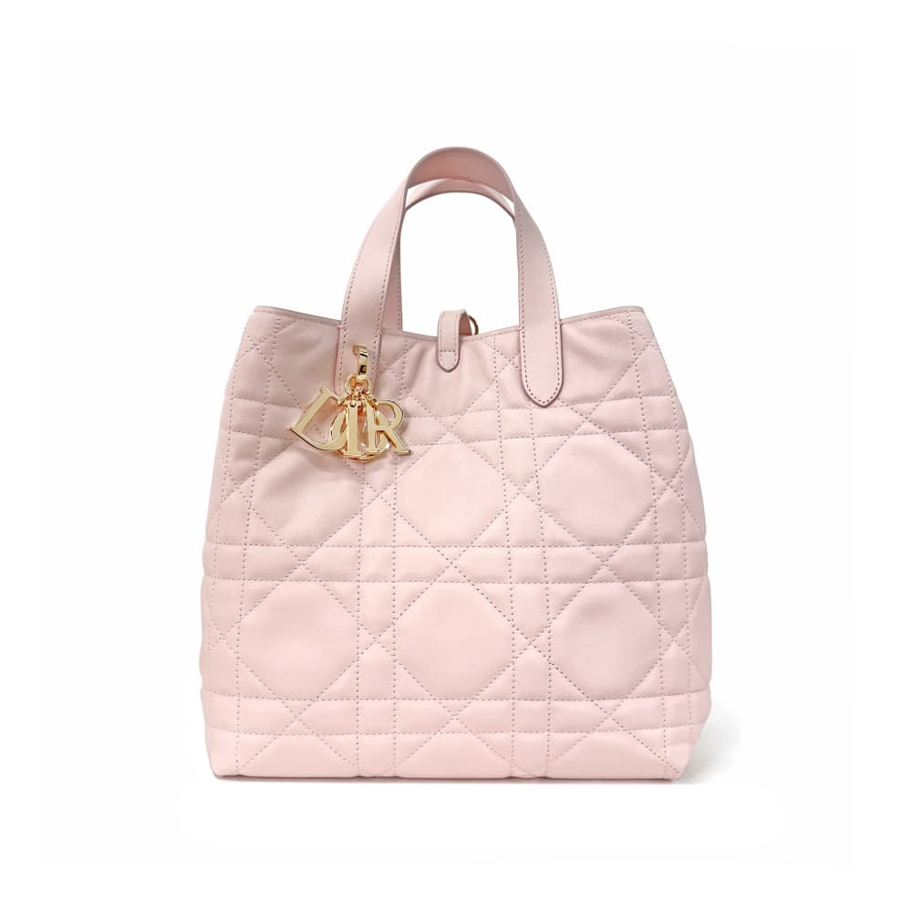 DIOR 디올 뚜주흐 버티컬 토트백