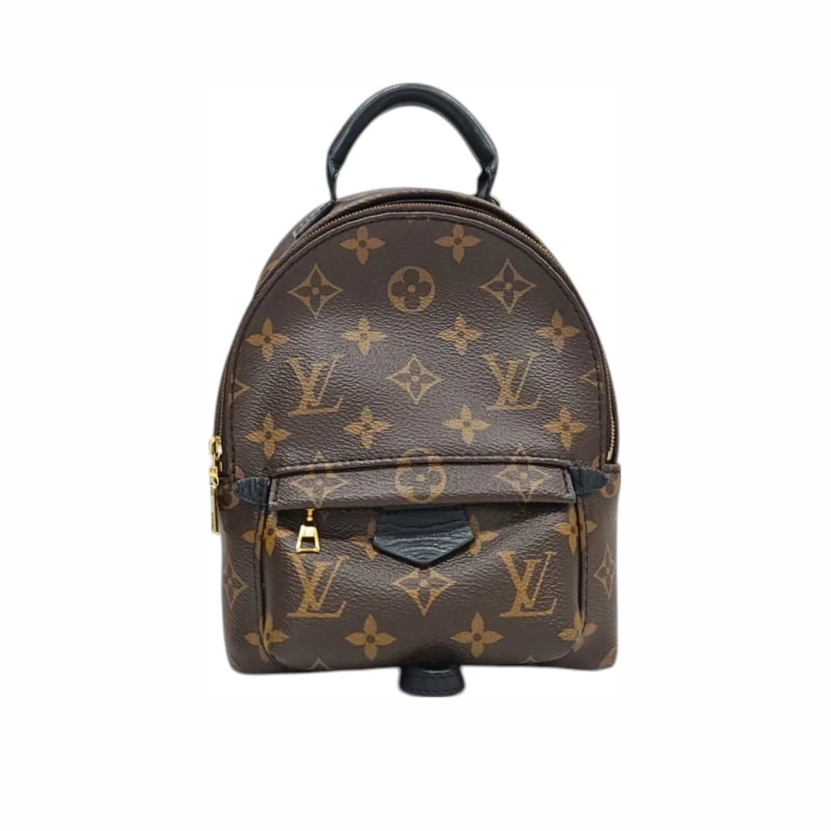 LOUIS VUITTON 루이비통 팜스프링 백팩 미니 모노그램