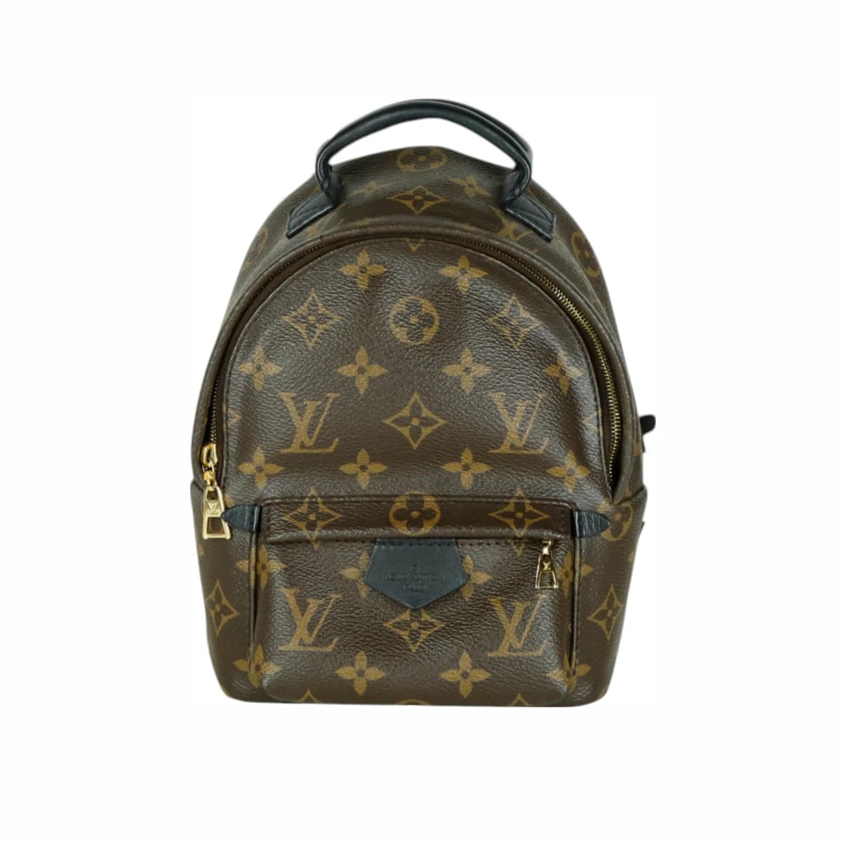 LOUIS VUITTON 루이비통 팜스프링스 백팩 미니