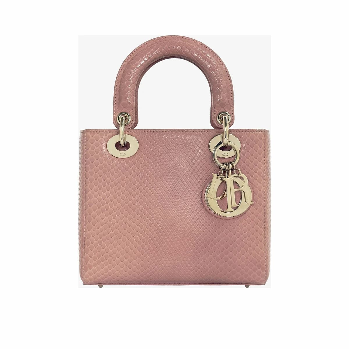DIOR 디올 이그조틱 레이디백 스몰