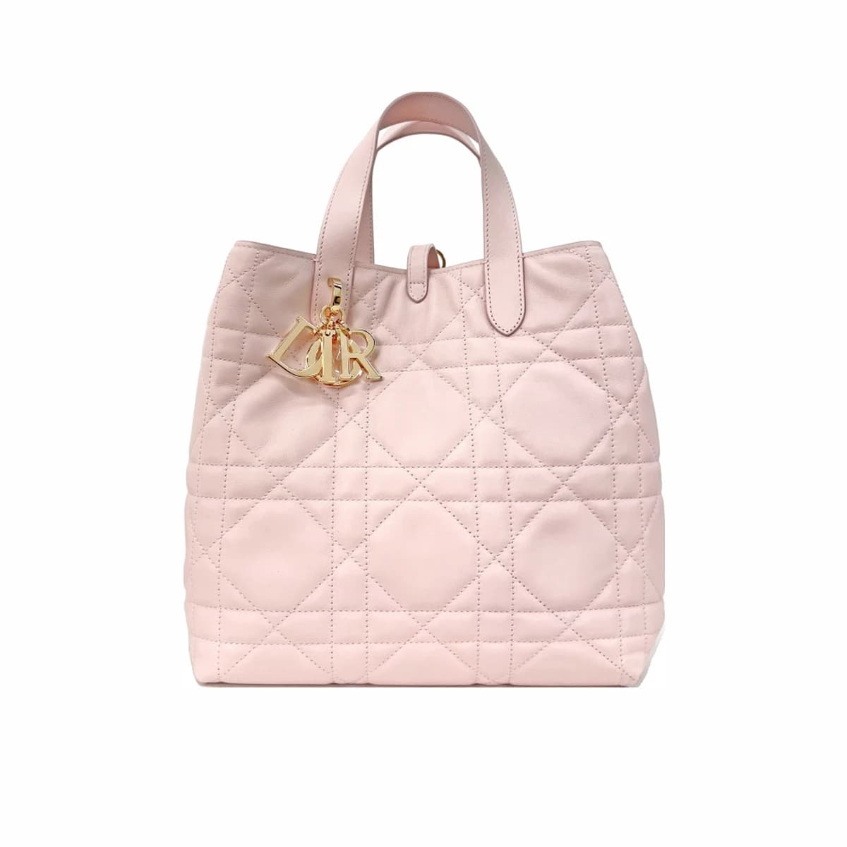 DIOR 디올 뚜주흐 버티컬 토트백