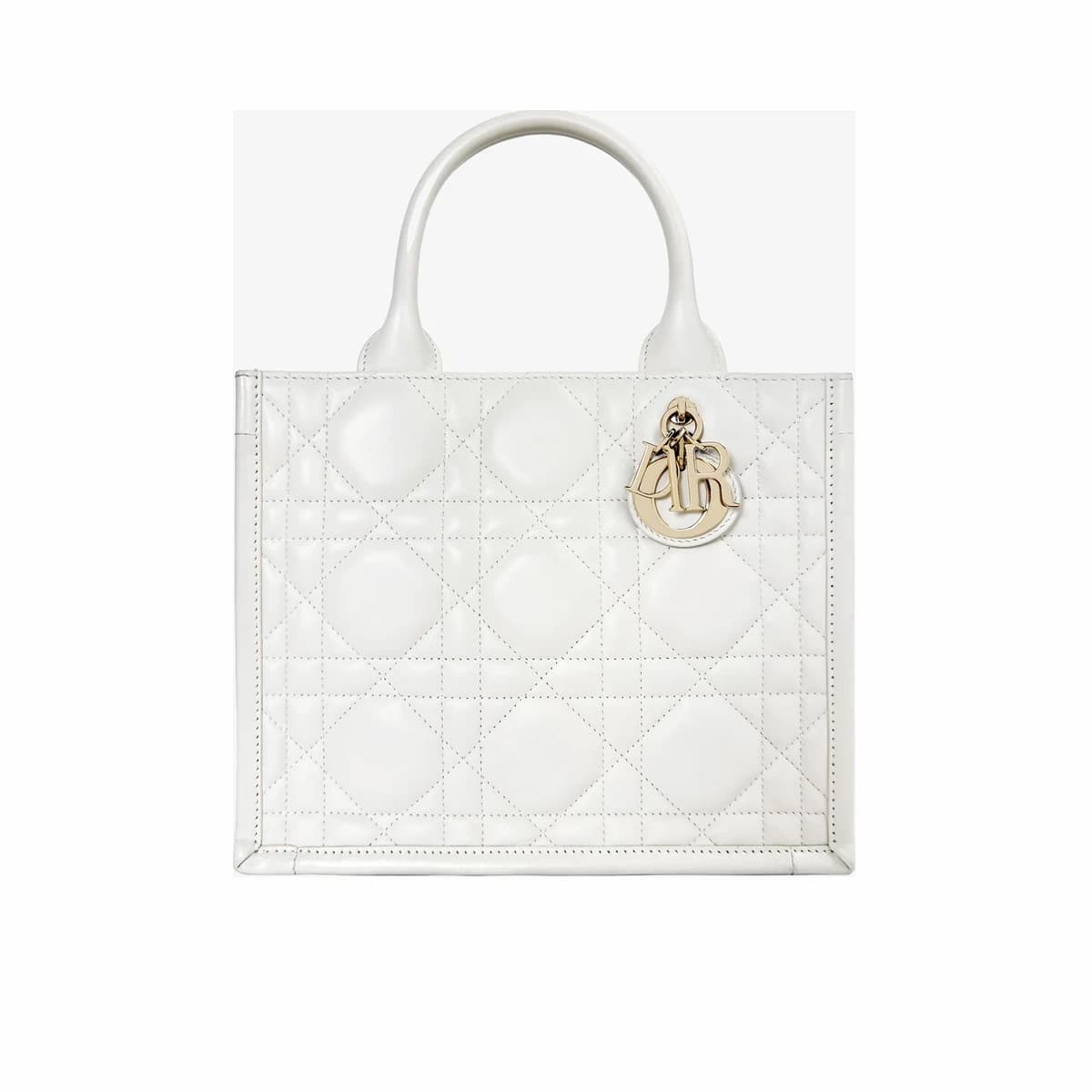DIOR 디올 까나쥬 북토트 스몰 화이트