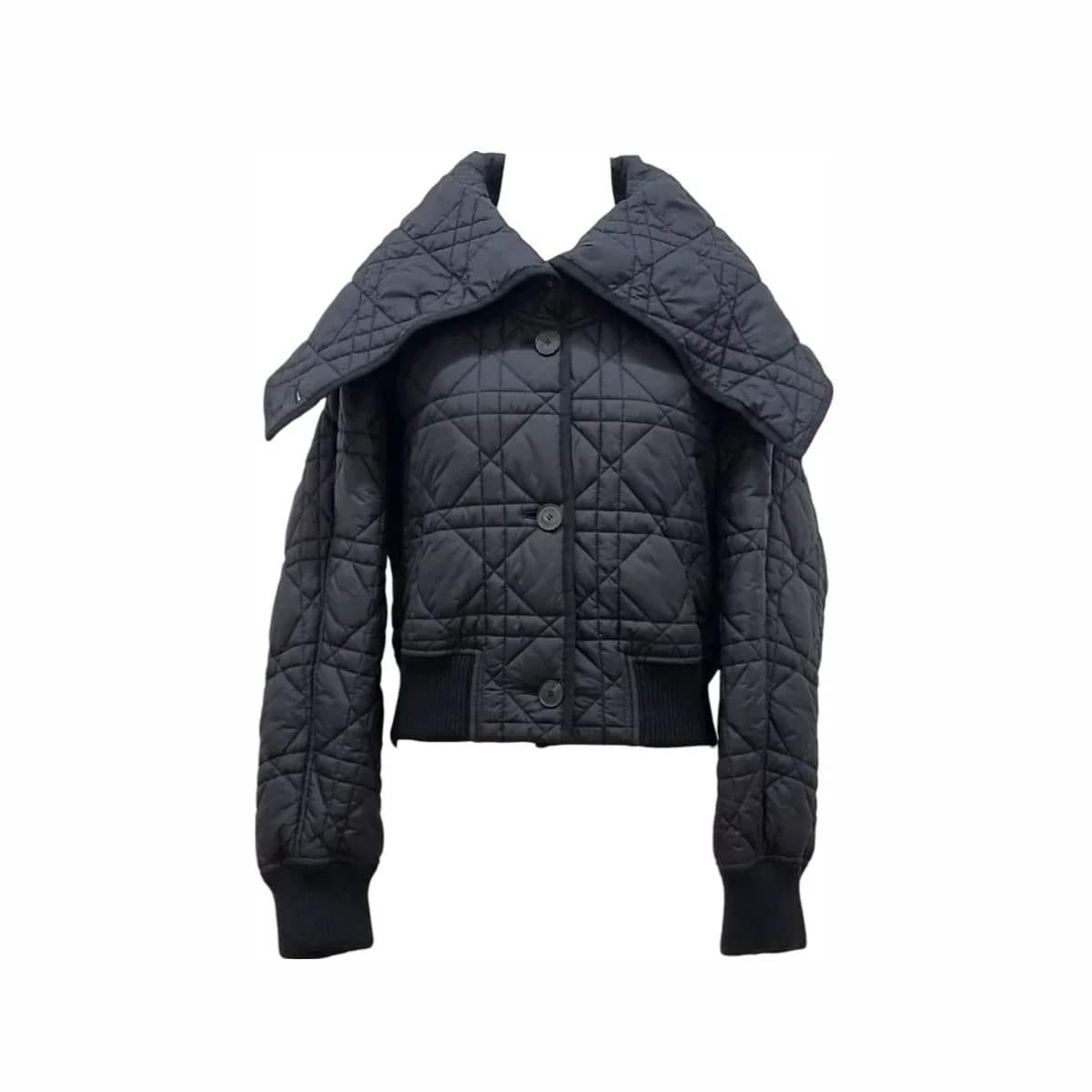 DIOR 디올 매크로까나쥬 재킷 퀄트 테크니컬 태피터 34