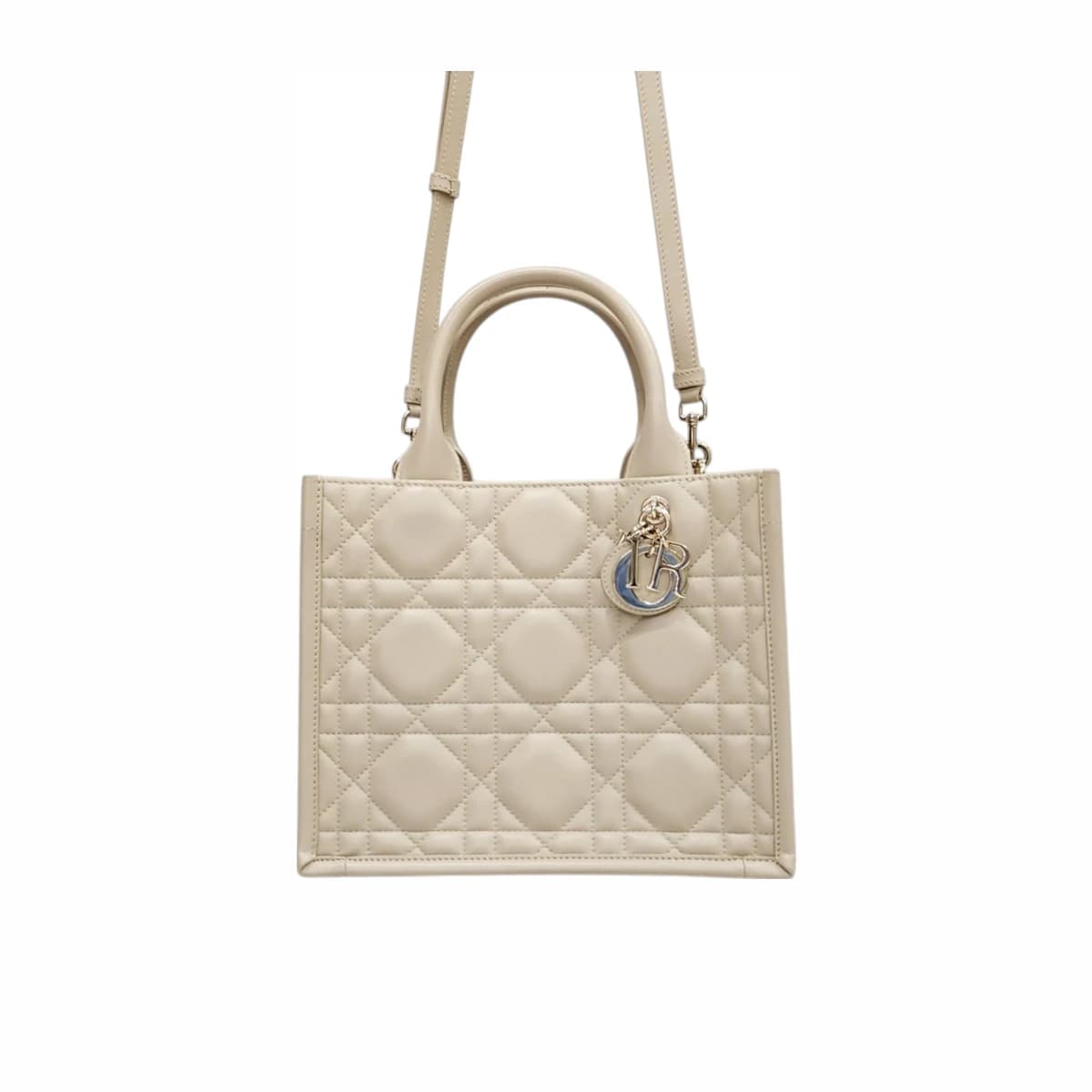 DIOR 디올 레더 북토트 스몰백 파우더 베이지 가죽